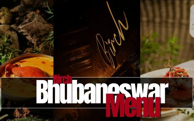Birch Bhubaneswar Menu: 7 Must-Try Dishes & Prices Revealed Birch Bhubaneswar Menu